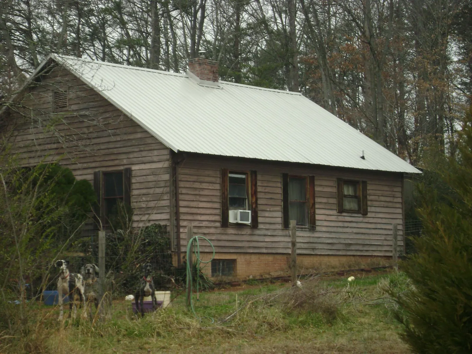 White metal roof on an old wood sided farmhouse, from a Metal Roof Installation job in Golden